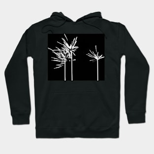 palm tree in the darkness Hoodie